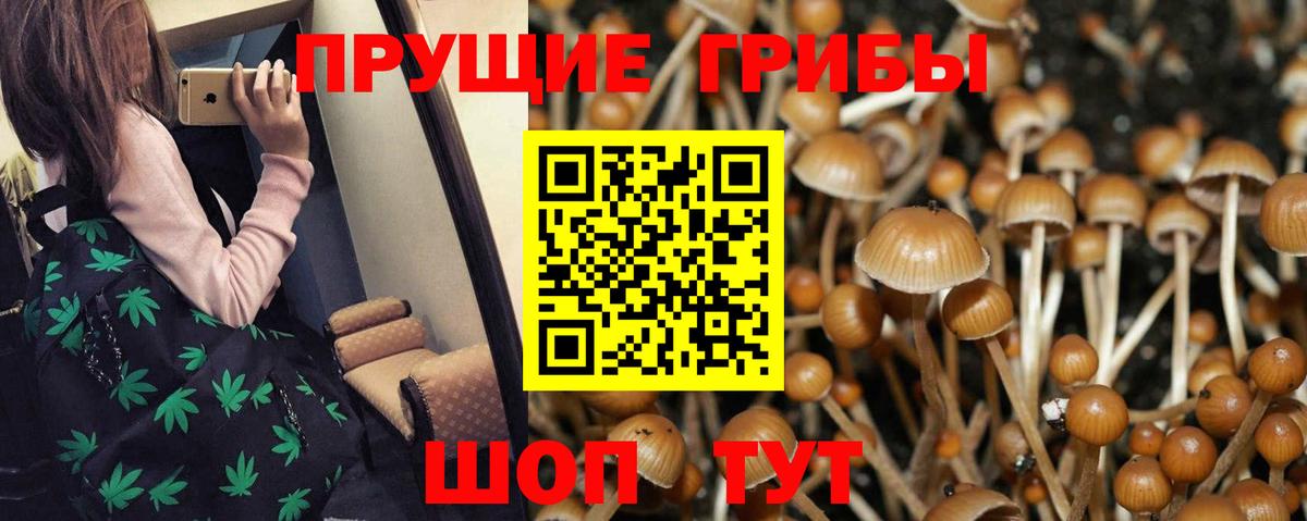 Галлюциногенные грибы мицелий  Галлюциногенные грибы Psilocybe  Нарткала  Вход с VPN 