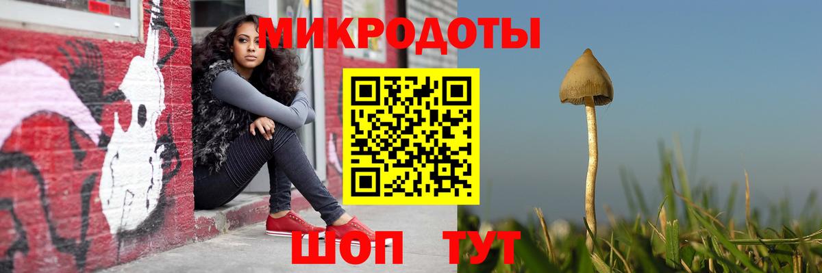 Галлюциногенные грибы Psilocybine cubensis Нарткала